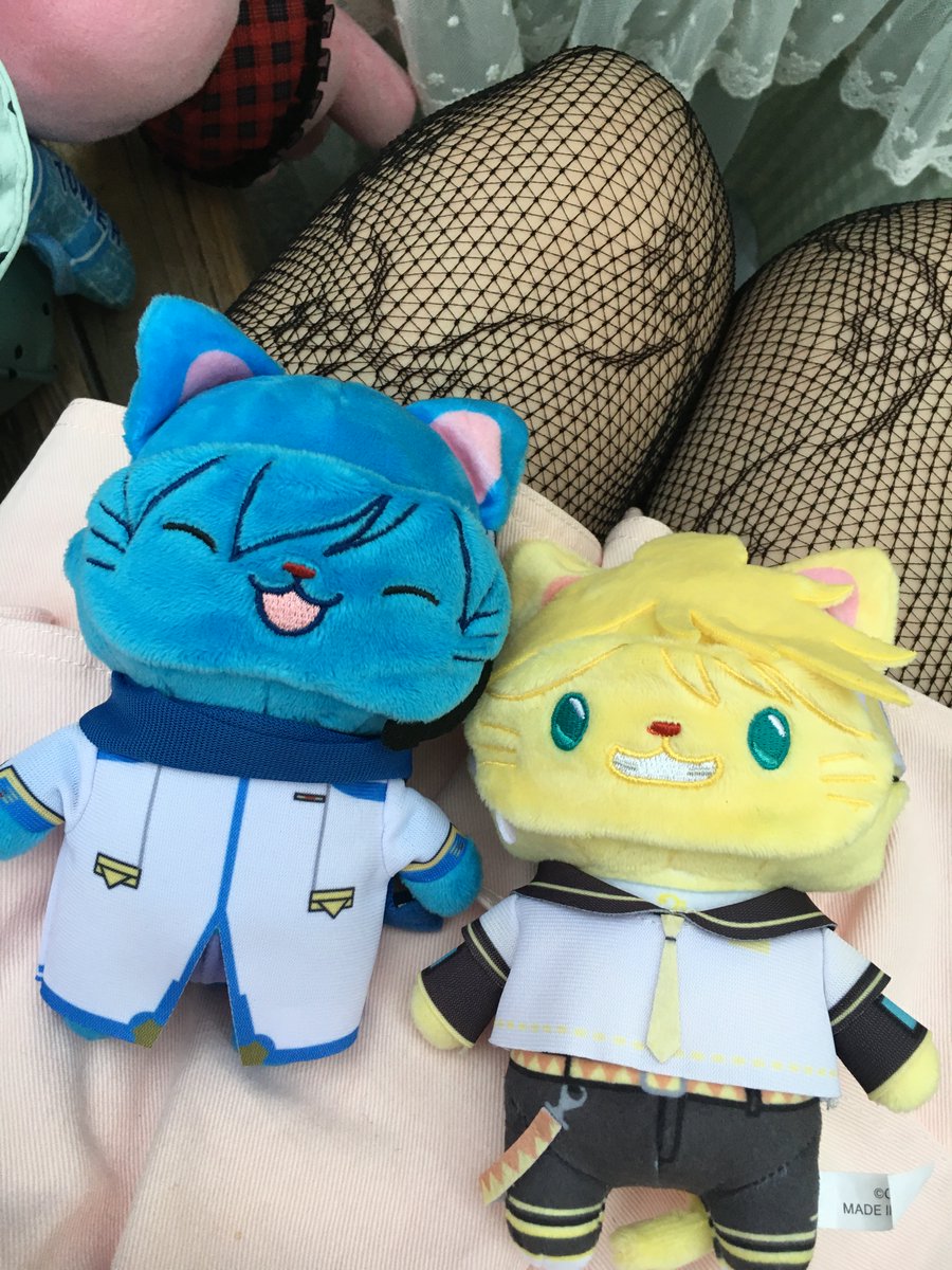 1027_soc's tweet photo. 내 아가들/// https://t.co/4CqQ4BOojd