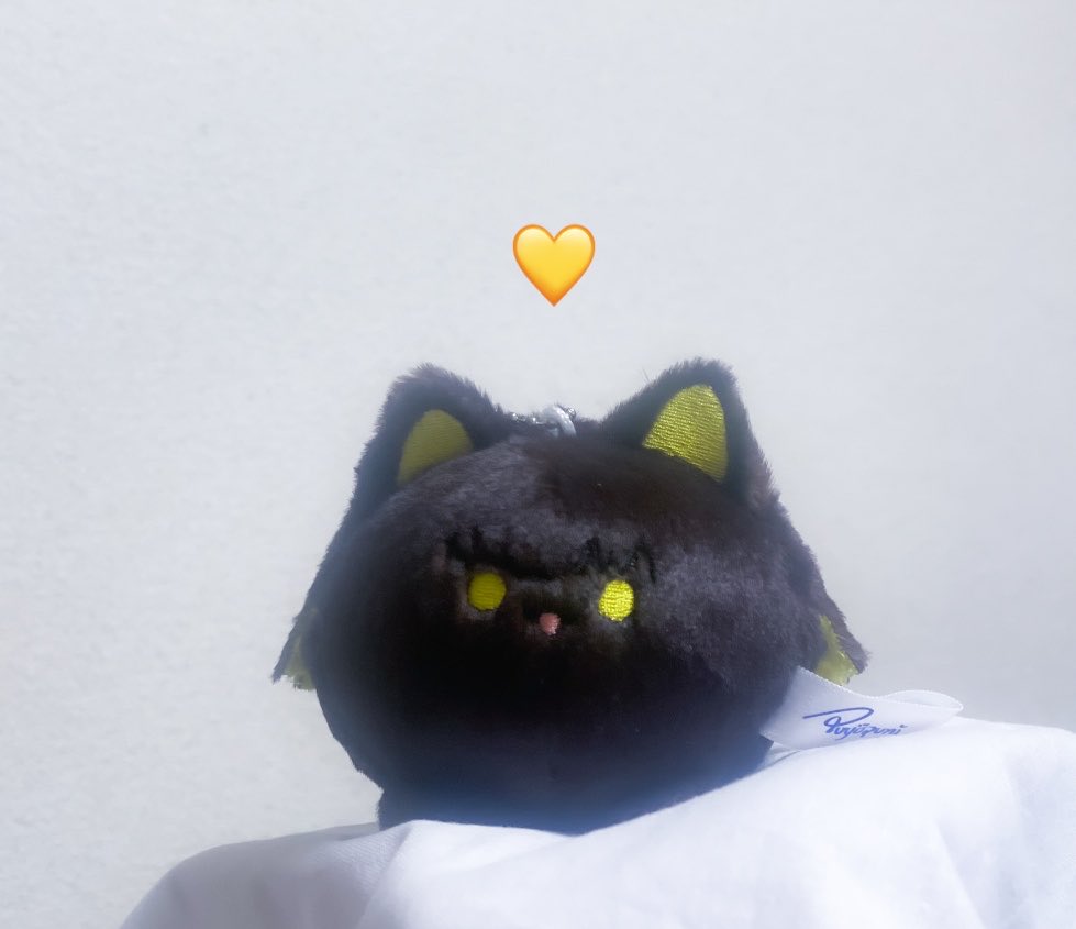 bccc8_ebi's tweet photo. そういえば、胴長タイプお迎えし損ねてたこと思い出して凹んでたら、ちょっと目があってしまって...連れて帰ってきた可愛過ぎる💛 https://t.co/4aIpb4Gknz