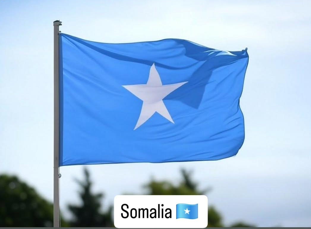 Mohamed Abdullahi tweet media