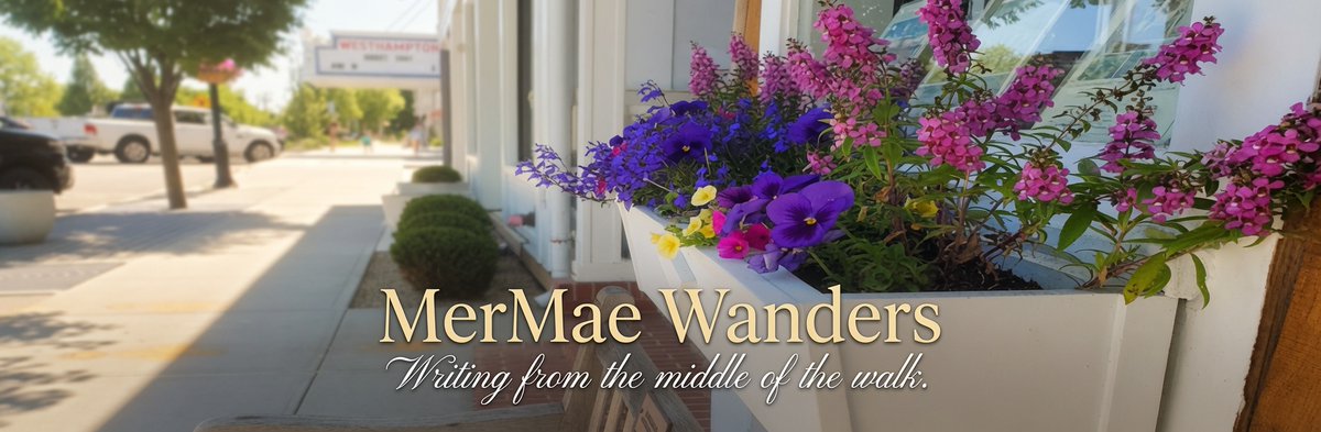 MerMaeWanders tweet picture