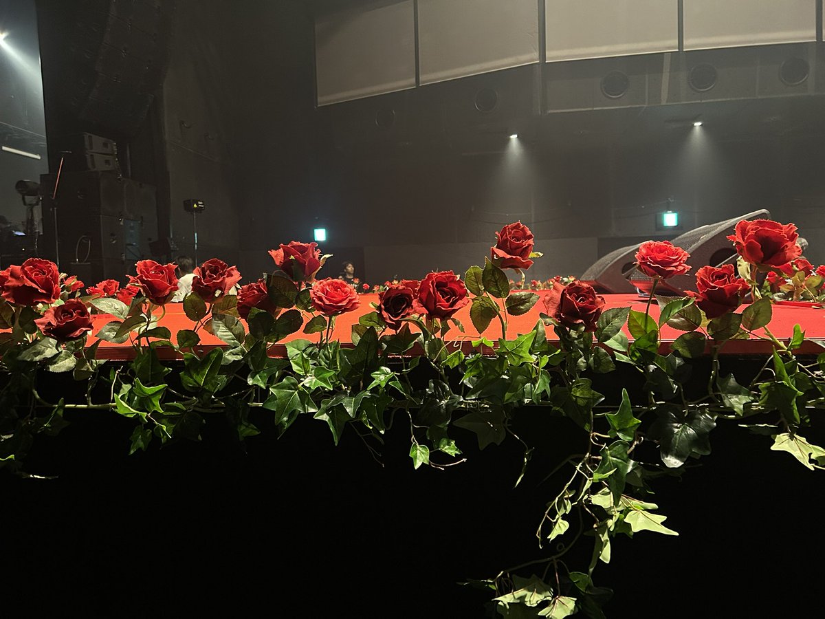 𝒔𝒂𝒐𝒎𝒂𝒓𝒊 र お 𖤟ㇼ 🍅🫀𓆏♕ ༘⋆𝒢𑄺★ ໒꒱ tweet media