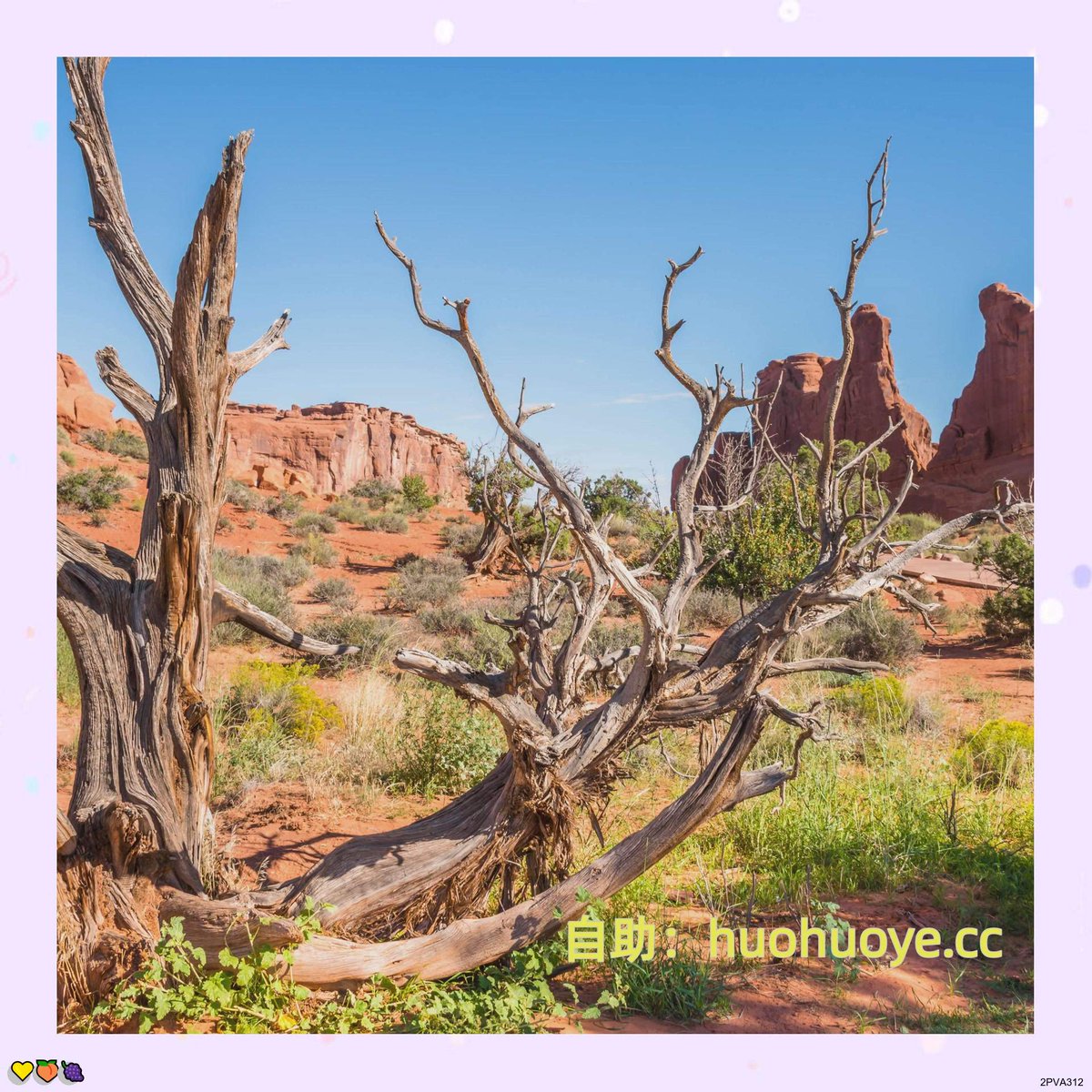 ytre2242's tweet photo. 约炮🌸💫
 热门教学 代发 引流 推广 
 💯热门号
评论号 🥰 日本粉私信号 
😆社群号 热门霸屏
 🌟 推特热门🥳 
推特号
❤️热门号
推特权重号 😆热门 代发
* 评论小号 💫
【#霸屏】 https://t.co/SrfsKpnmhg