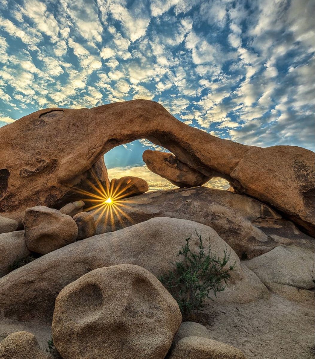 natures_picture's tweet photo. Sunset🌆🌆 https://t.co/X8eMbhRhjd