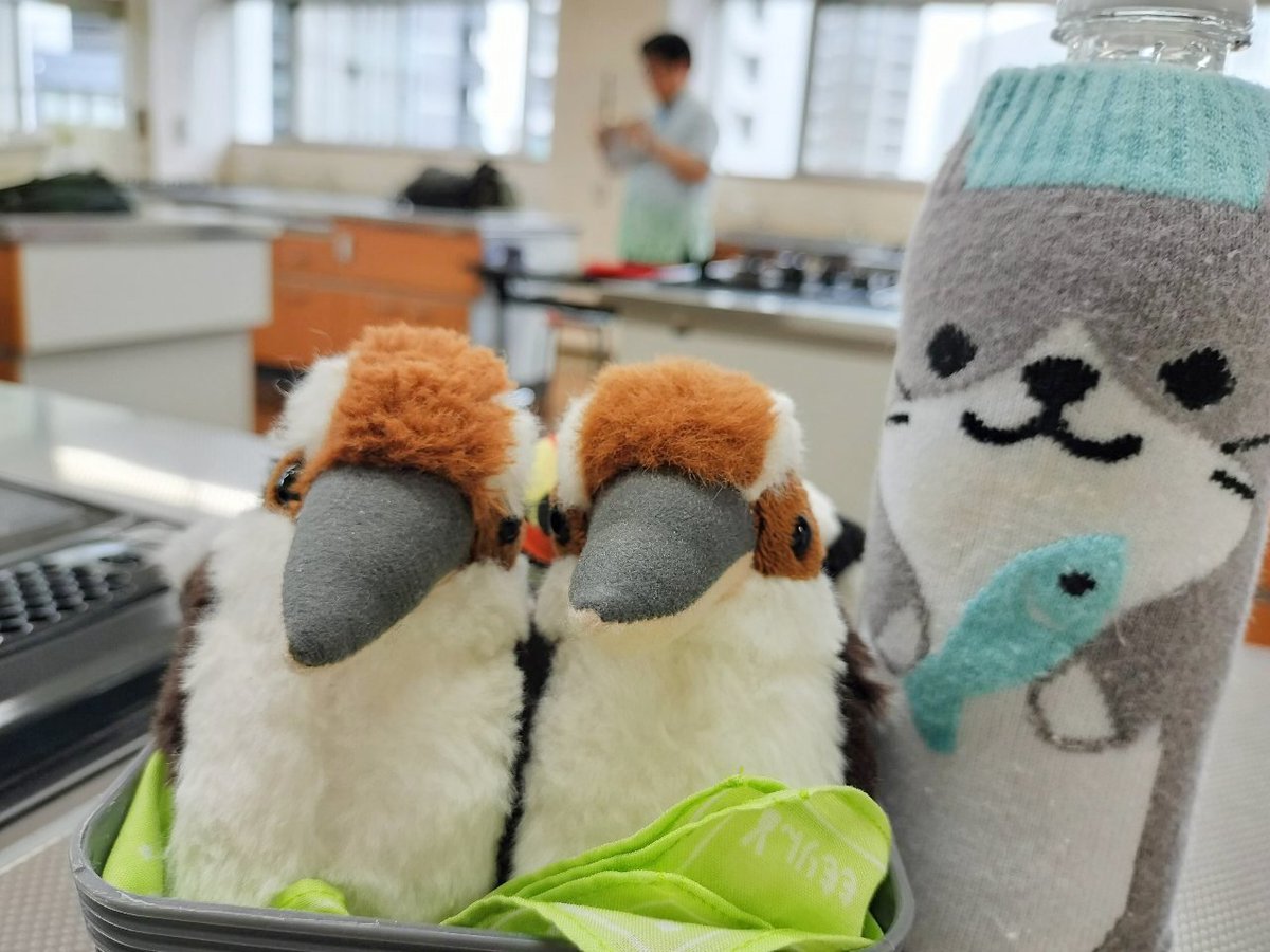 てけてけ (@teke103) / Posts / X