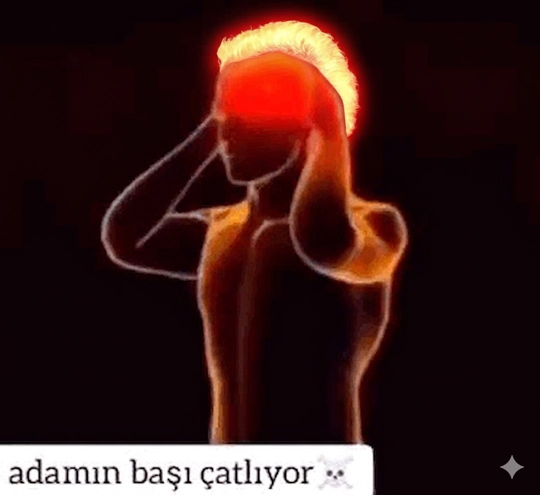 venush00d's tweet photo. @diaryofcimbom @Barisalperyilmz https://t.co/po6DvEsZyA