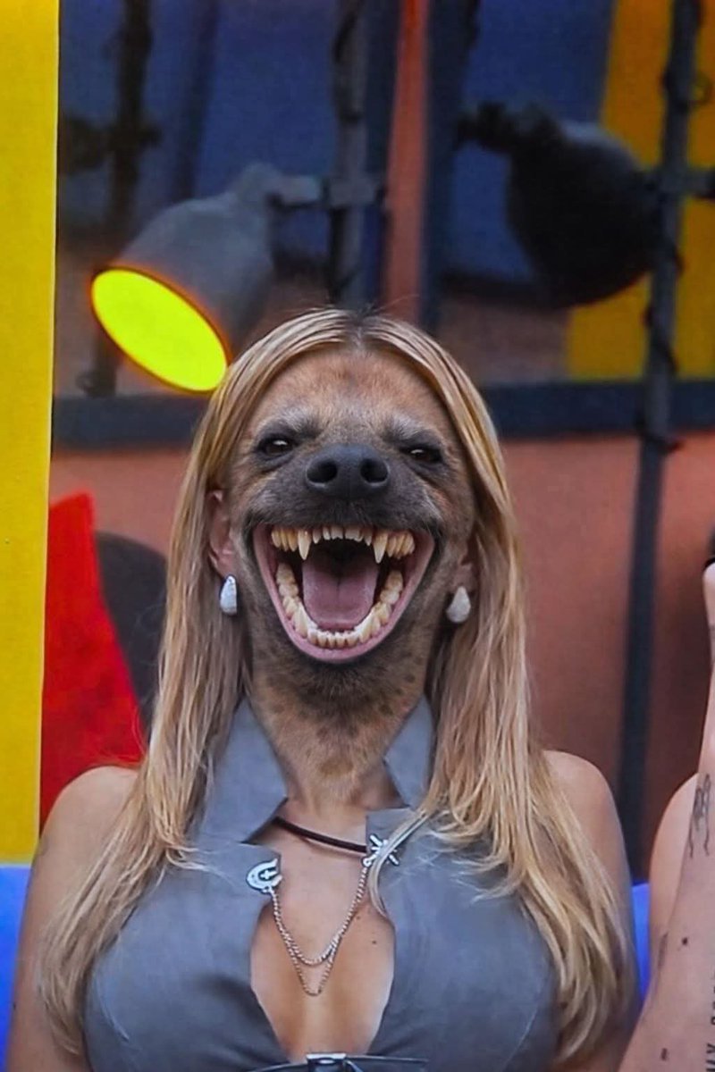 DiakusCcsta's tweet photo. @Josue__cat @LAURAZAPATAM Orina nunca tendrá lo que tiene mama zapata y eso se le llama trayectoria con talento tu Oriana solo sera la 🐕 de los realitys cagones que ven la chusma como tú chota👌🏻😌 zorriana siempre será prieta por dentro y fea así se transforme siempre será fea y ratita nunca cambiará👌🏻😎 https://t.co/7IIqEAAptB