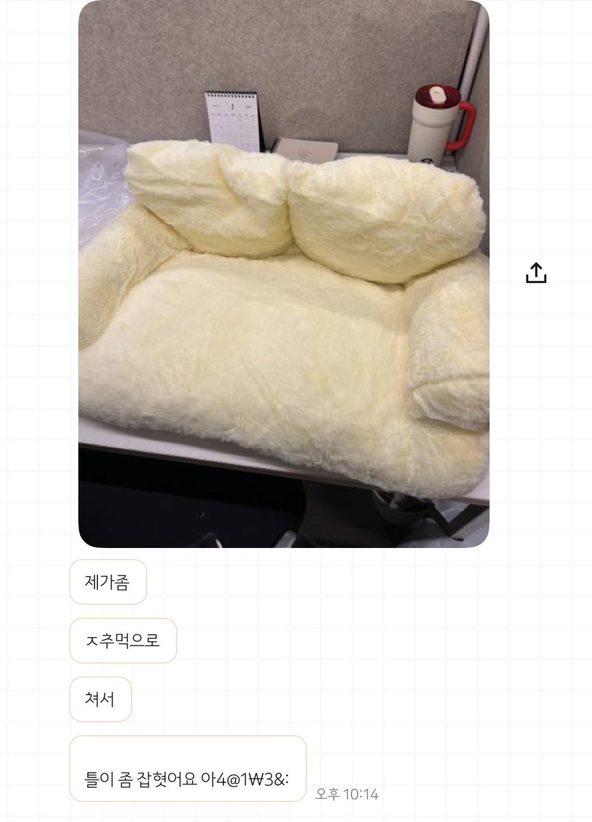 강아지 tweet media