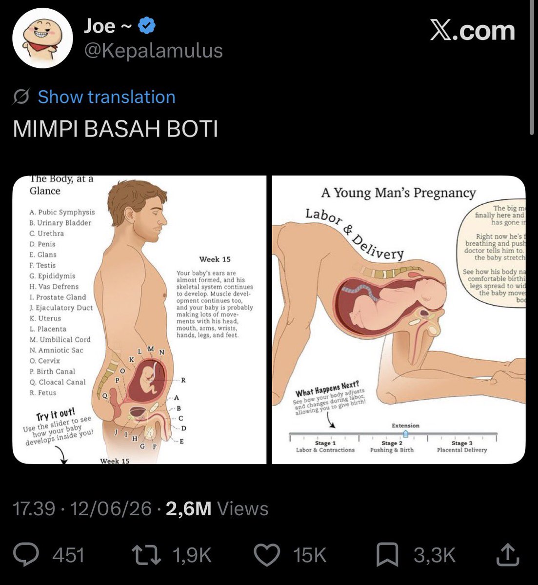 vax merstappen tweet media