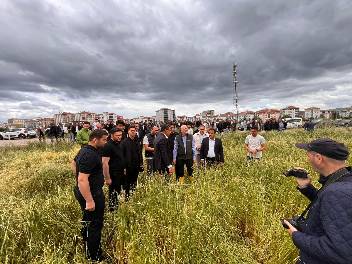 semsibayraktar's tweet photo. Ankara'nın Kahramankazan ilçesinde dün meydana gelen dolu afetinden zarar gören Yassıören Köyünde tarım arazilerinde incelemelerde bulunduk. Afetin üreticilerimiz üzerindeki etkilerini yerinde değerlendirerek çiftçilerimizin yaşadığı mağduriyeti gözlemledik. Gerçekleştirdiğimiz basın açıklamasında ise üreticilerimizin taleplerini ve beklentilerini kamuoyuyla paylaşarak gerekli desteklerin bir an önce sağlanmasının önemine dikkat çektik.