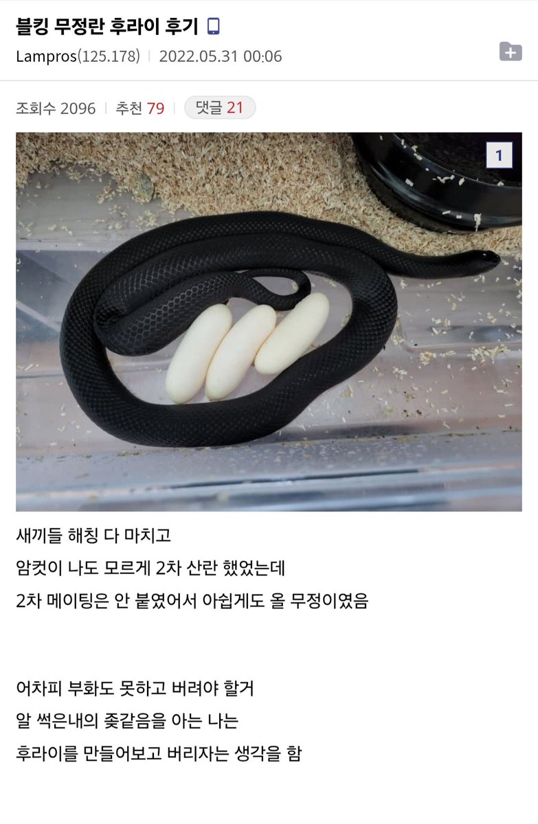 와좁이 tweet media