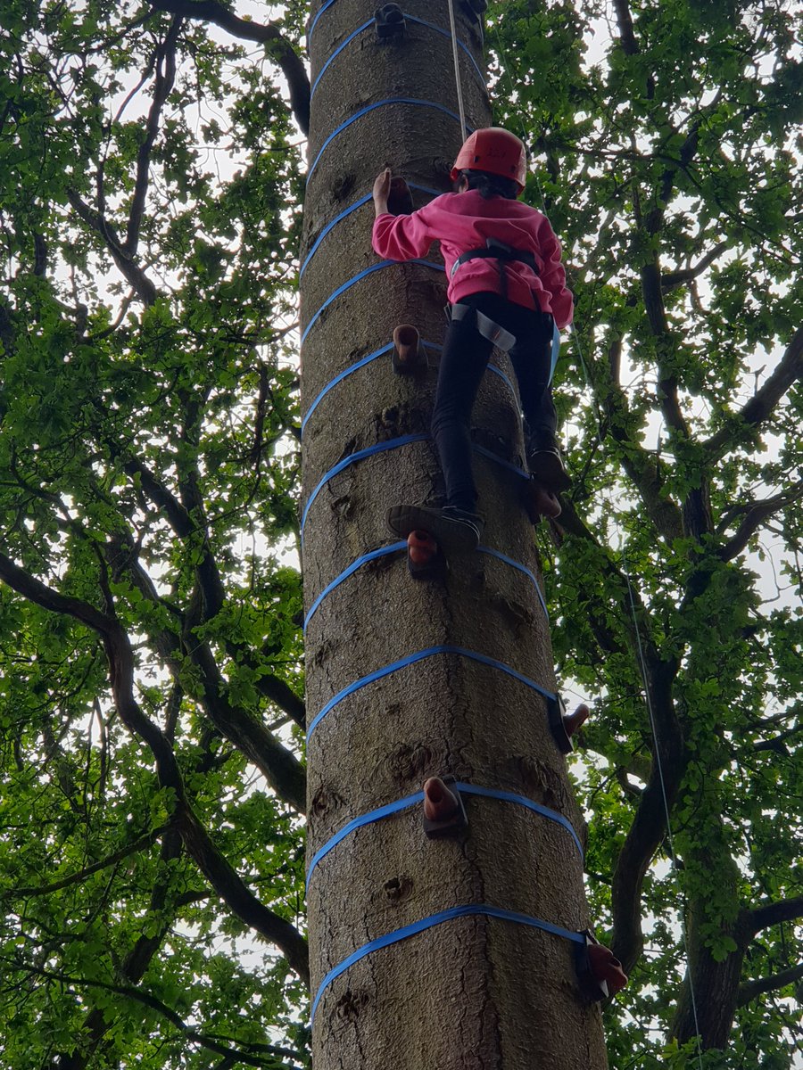 LeighPrimary's tweet photo. Conquered our fears: The Monkey Climb. @Oakerwood  #makingmemories https://t.co/otwylkCA28