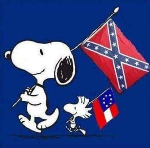 estencooke's tweet photo. Happy Flag Day!

You celebrate your way.

We'll celebrate ours, unashamed of our ancestors. https://t.co/kjcISidjYM
