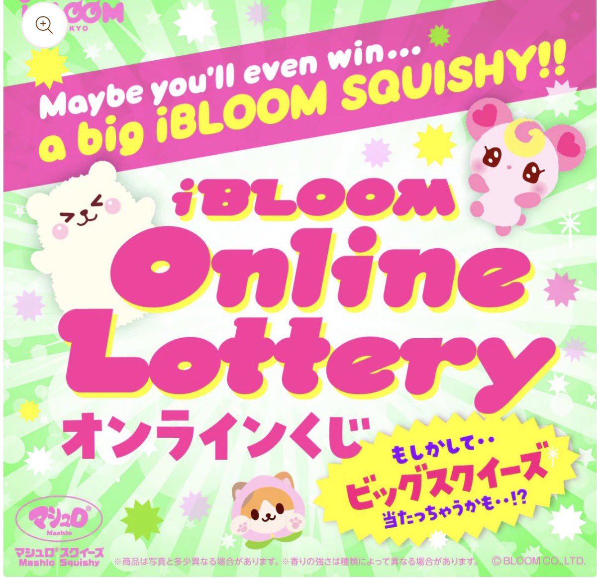 thebubble room ! @bio 𓆞 tweet media