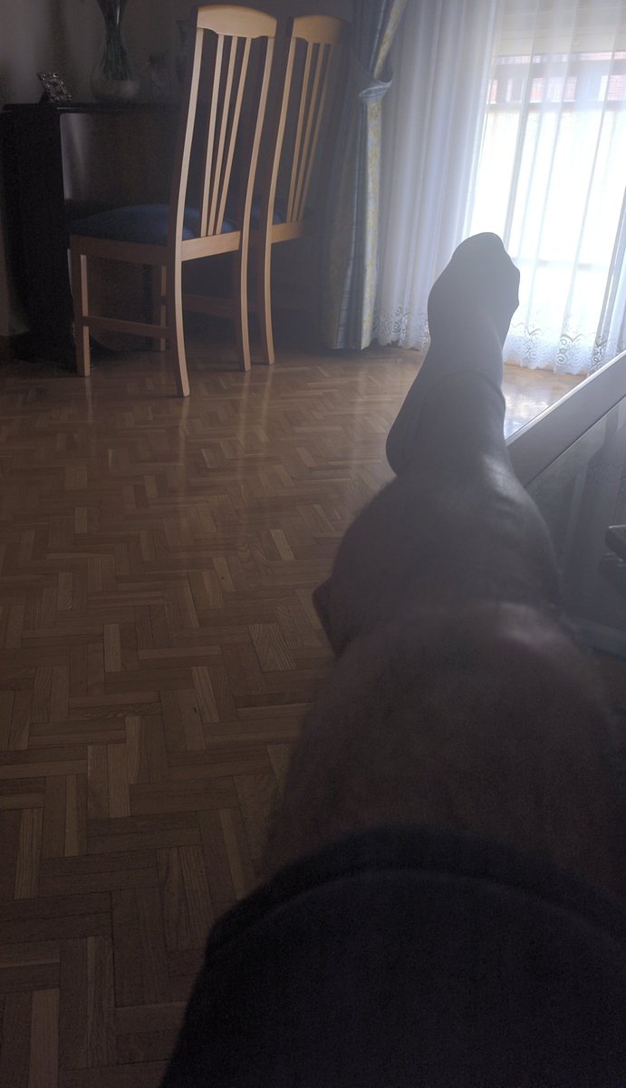 jj_checa's tweet photo. Que alguien me la levante. La tarde. https://t.co/5oQMxcGXbI