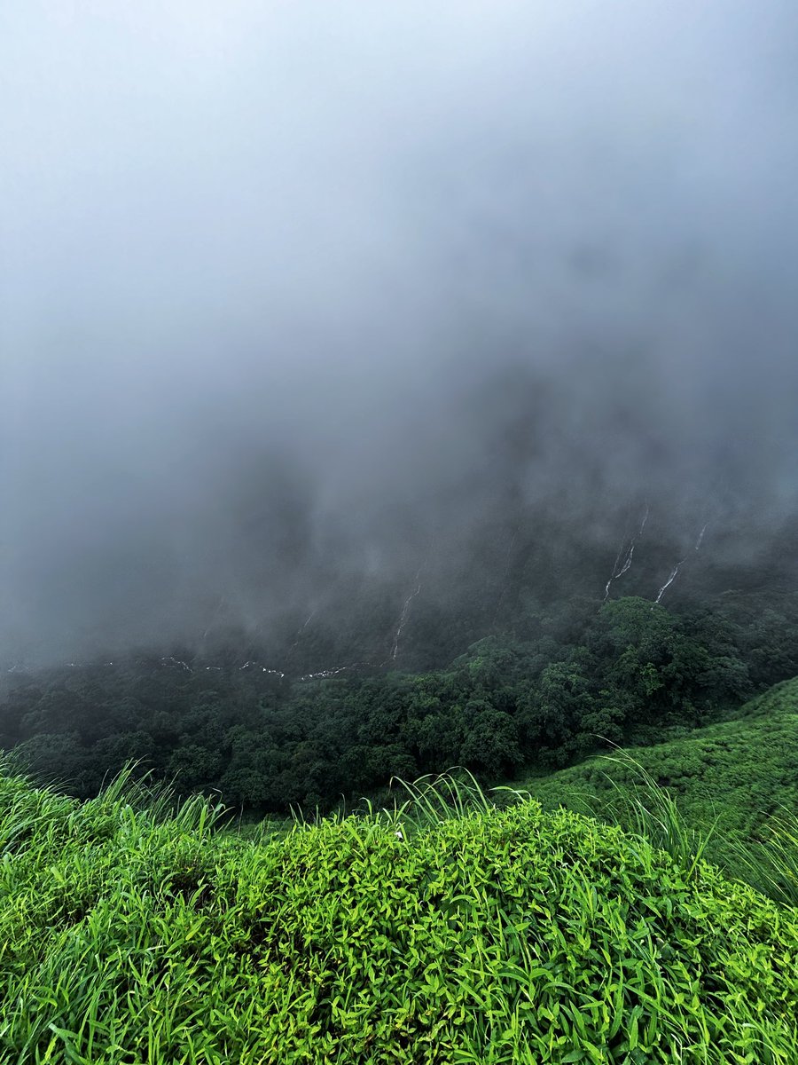 over_matured's tweet photo. @Theonenameddamn IT’S Matheran. In Maharashtra, near Pune.
Best place to visit in Monsoon. https://t.co/3GPMwSWrct