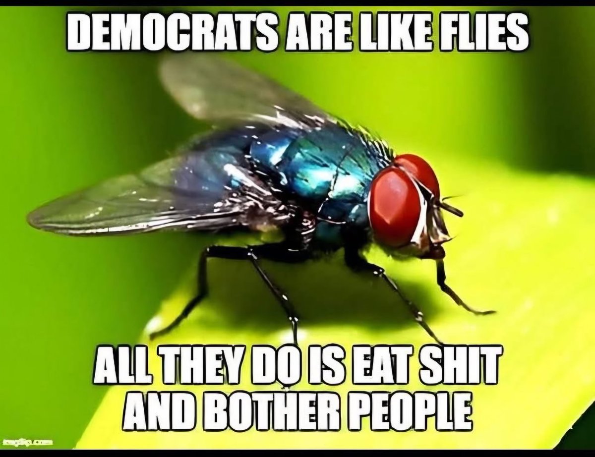 dray3907's tweet photo. @ewarren Pocahontas talking about a socialist ideology of tax the wealthy more so they can spend more. BTW, she's in a limousine being chauffeured around. https://t.co/iULKUnGr2E