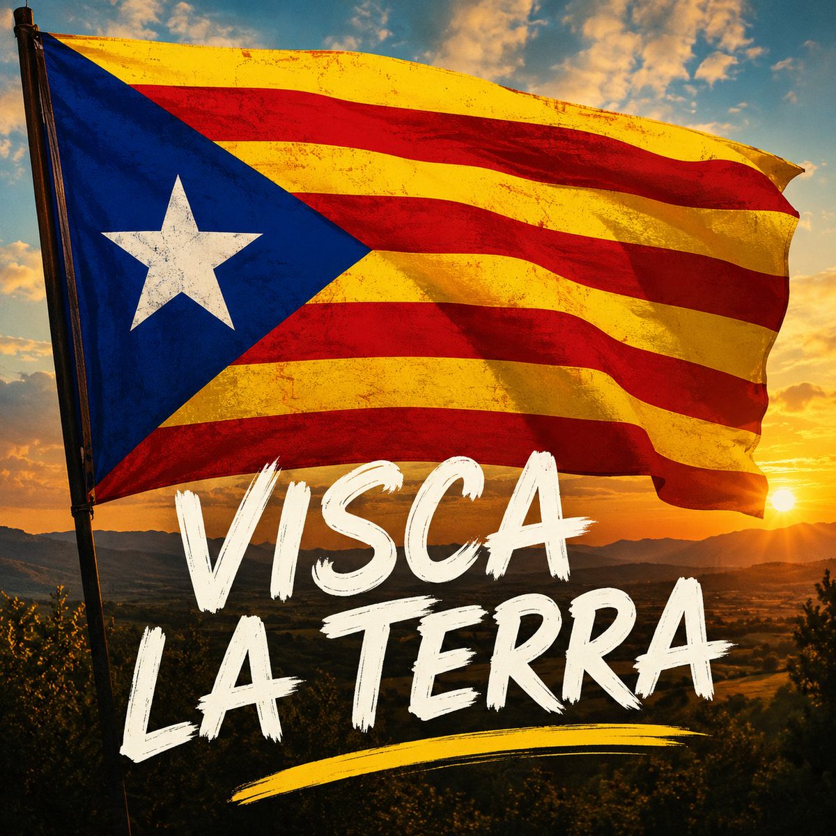 Puigjaner1714's tweet photo. Qui pugui fer que faci. https://t.co/IUY2vOOQVD