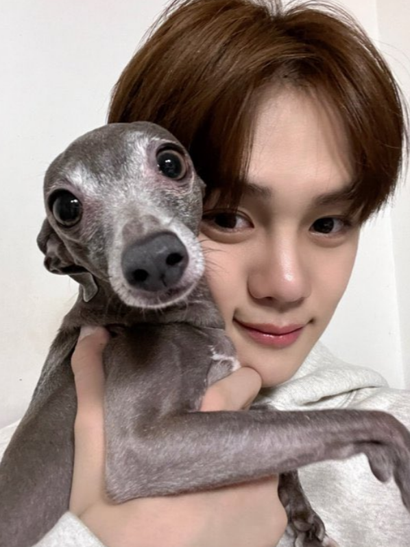 Riwon_ZB1's tweet photo. 260614 ギュビン　ウィバラ　日本語訳

🐶「今年は僕にとって辛い年です。知ってる人は知ってると思うけど、ウンパッパをもう写真の中でしか見られなくなりました。
去年から病気だとお話もしていましたが...お話ししてきた理由は一度に全て話すと壊れてしまうんじゃないかと思ってでした。ウンパッパが良い場所へ旅立ちました。

昔犬を飼ってなかった頃は、犬が死ぬということで学校に来れなかったり日常生活が送れないことを理解できなかったんです。犬はただただ可愛いイメージだったから。

Aura活動前にそうなってしまって。重い病気だったんです。
メンバーにも今さっき言いました。
リッキーには火曜日（当日）に言いました。リッキーの共感が必要だったみたいです。共感してくれるって確信があったので。リッキーが抱きしめてくれて慰めてくれて、火曜日を乗り切りました。

10年一緒に生きたんですが、犬がいなくなったというより家族が消えてしまったような感じです。

僕は別れが嫌いです。練習生の時からそうだったけど別れはいつも急に知らされて別れる瞬間も時間がなくて、その後もその感情をきちんと感じられないことが辛くて、避けられるのなら避けたい....唯一避けたかったことでした。だから僕は別れが嫌いです。

話は出さないでくださったら嬉しいです。
日常生活がしんどくなりそうなので。明日蔚山に来られる方も、笑ってくださったら嬉しいです。MCしながら泣いてしまったらダメなので。

今日でないとコンサートの時になってしまいそうで、それだとステージが出来なくなってしまうので今日お伝えします。

思っていたより辛かったです。そのせいで眠れませんでした。一週間で合わせて5時間しか寝られなかったと思います。

僕身の回りの物を全部ウンパッパの色に変えてるんです。布団もグレーでパジャマのズボンもグレーで...ただただ会いたくて。

辛くないふりをするのが簡単じゃなくて。大人になるのは簡単じゃないみたい。

それでもデビューを見届けられて良かったです。
そしてファンの皆さんもウンパッパのおかげで幸せだったみたいで良かったです。

バレないように努力して、変にペンサやステージで泣く姿をお見せしてしまうと僕がもっと辛い気がして。変化を感じていらっしゃらなかったと願って今日のライブを終わります。

犬を見るたびに辛かったです。ウマチュンのクンクンイも同じ種類で...考えはまた変わるかもしれないけど、もう二度と犬は飼わないんじゃないかな。いつ変わるかは分からないけど。

明日浮腫むとダメなのでここまでにします。
明日蔚山で頑張って笑ってＭＣする僕を見て変に思わないでくださったら嬉しいです。僕も最善を尽くして辛くないフリをするので。

僕は本当に別れが大嫌いです。
泣かないつもりではなかったんですが、ここまで泣くつもりでもなかったです。
明日蔚山で会いましょう。」