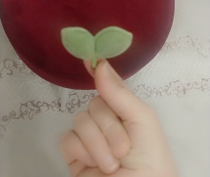 12929cl's tweet photo. Şans bademi💚
Beğenenlerin hesabına ne troller ne de elon dokunamıyor😁 https://t.co/uTdvVGiLD8