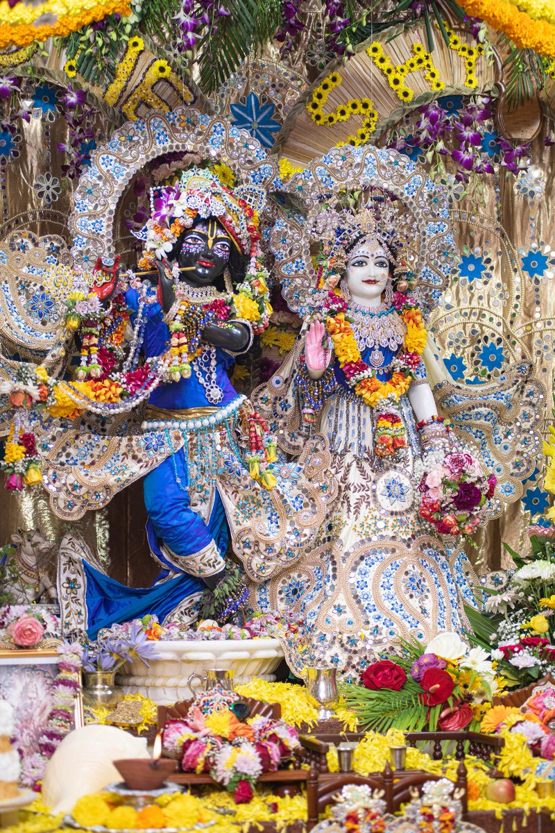Iskcondarshan's tweet photo. #purushottammaas #iskcon #radhakrishna https://t.co/Eu9nPCG9GR