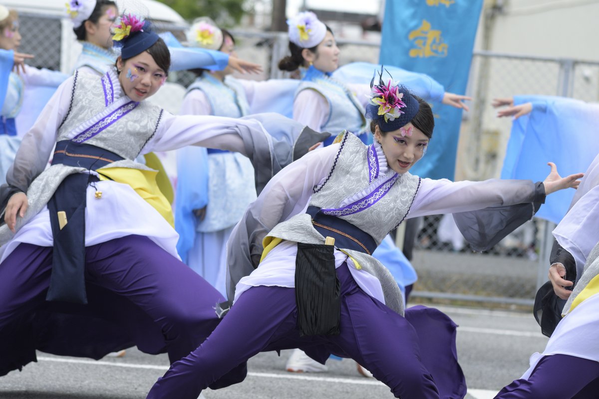YD3200's tweet photo. 四街道 舞謳歌
新作「黎明花～夢開く花～」

2026年05月04日
第24回かずさ木更津よさこいまつり～木更津舞尊～
素敵な演舞ありがとうございます✨

#四街道舞謳歌 #舞謳歌 #木更津舞尊 #かずさ木更津よさこいまつり #よさこい https://t.co/7KaOrJEjk3