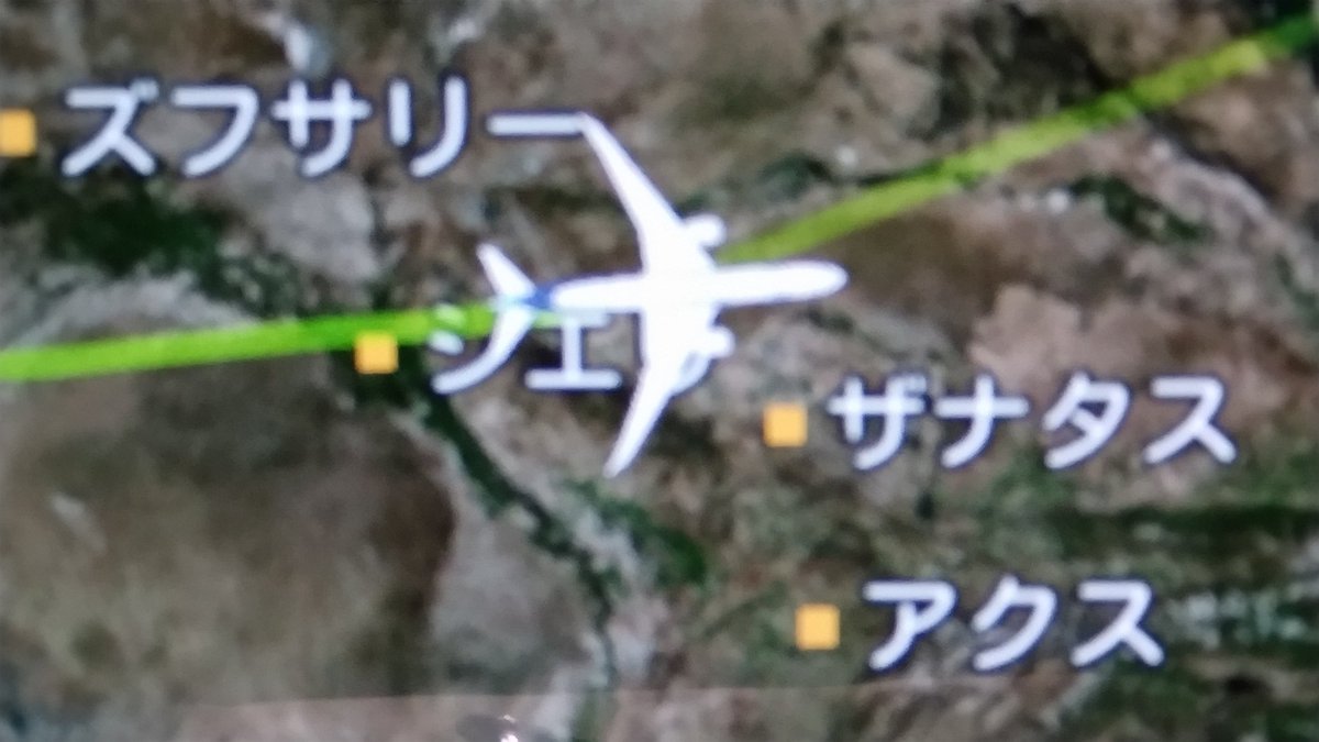 ChibaJudge's tweet photo. カザフスタンの空で55歳になりました。素敵なサプライズ頂きました。ありがとうございますANAの皆様😊 https://t.co/KlsdhHuQue