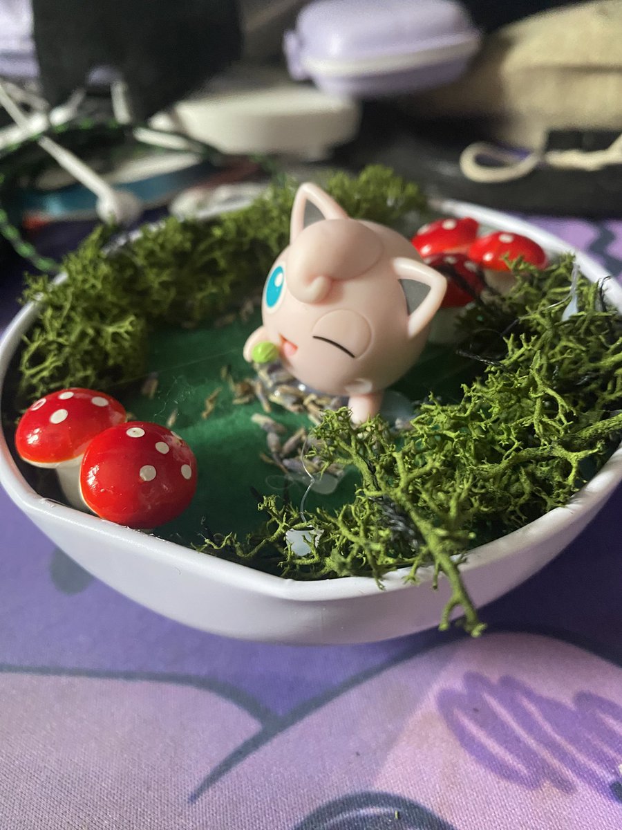 echoflwr's tweet photo. spent some time making my wonderful girlfriend this terrarium in a love ball over the weekend !!!! imm proud of this quite a lot,,, https://t.co/kViEQZUFZ6
