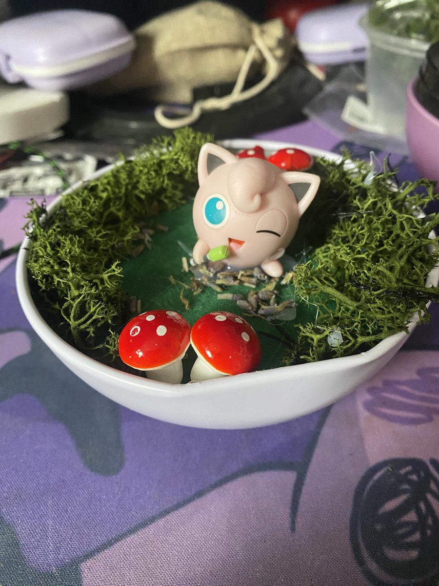 echoflwr's tweet photo. spent some time making my wonderful girlfriend this terrarium in a love ball over the weekend !!!! imm proud of this quite a lot,,, https://t.co/kViEQZUFZ6