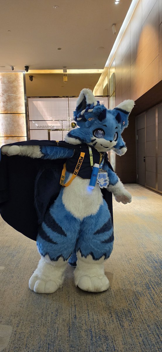 I am Pi ➡️ jmof2027 tweet media