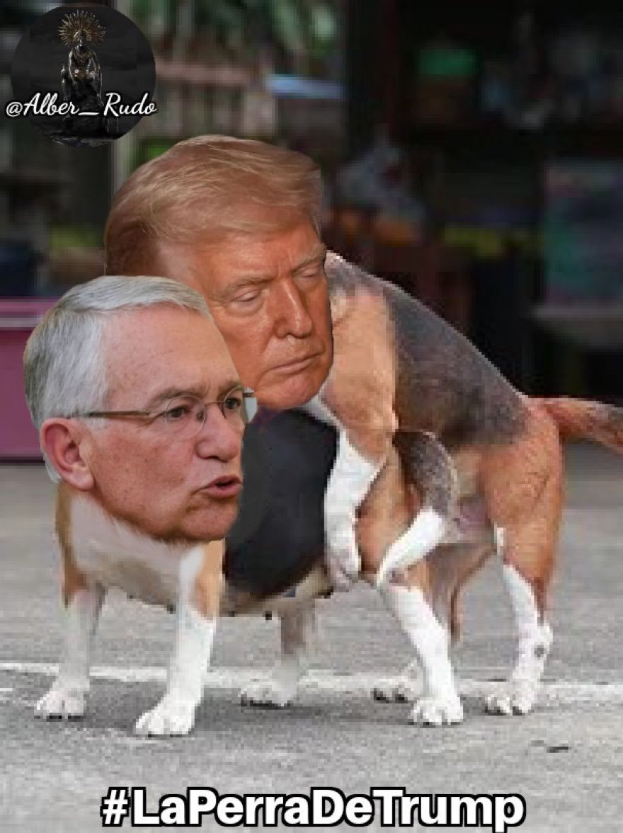 eldurovc's tweet photo. @Garcimonero Ya también eres de los SOLOBRINOS de #LaPerritaDeTrump @RicardoBSalinas  que bueno saberlo, solitos se están exhibiendo 🤣🤣🤣🤣🤣🤣 ya no lo ayuden mejor coperacha para sus croquetas 🤣🤣🤣🤣🤣 https://t.co/ZqalxgBI45