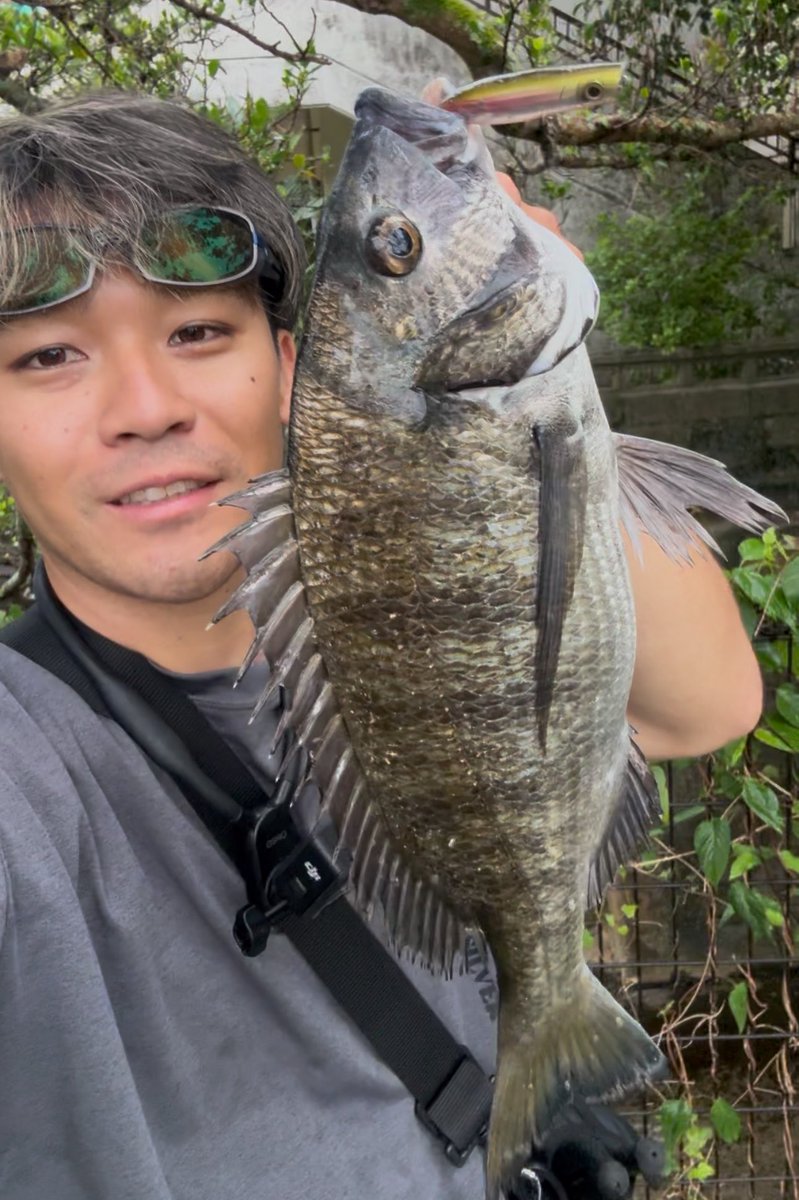 ichita098's tweet photo. 朝イチの用水路
ティグマで一撃！

ルアー↓
https://t.co/v2ZVxjS8Jv https://t.co/SdZzInULb0