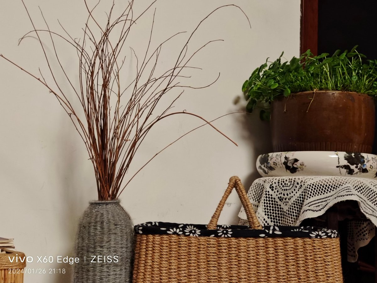 crystalvanegas's tweet photo. Turn an old mason jar into a cute plant holder with some paint and jute rope—zero waste, full charm! https://t.co/eAMCuMlAJf
