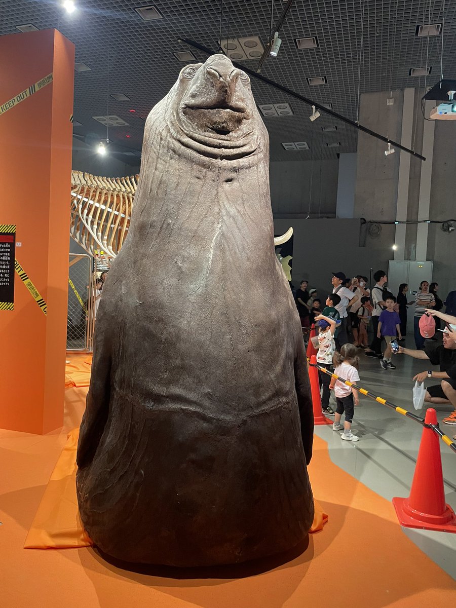 sibaketsu's tweet photo. 超危険生物展最終日に駆け込み！
デカくて強い動物たちも怖いけど1番怖いのは蚊とダニとハエ https://t.co/t4tOkrdoRj