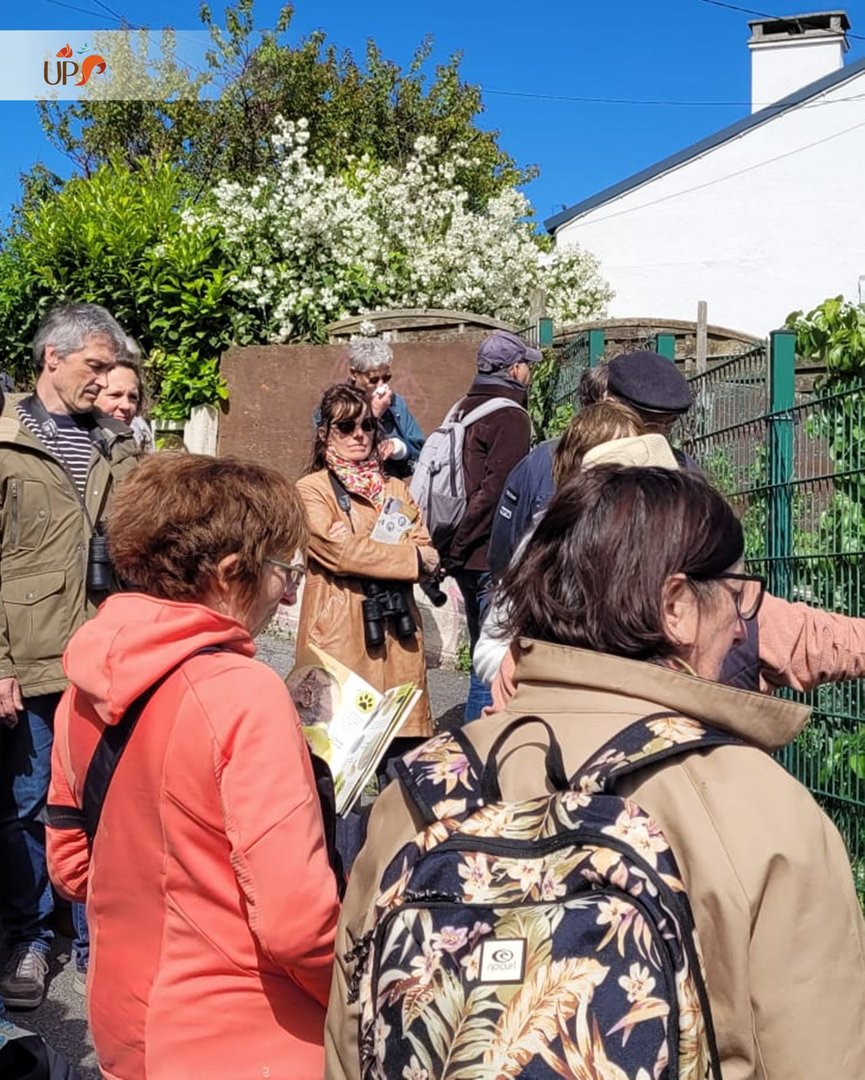 Biodiversitup's tweet photo. Une balade à deux voix 👭 Cette animation deviendrait-elle une belle tradition avec la @dieppefr ? C’est toujours un réel plaisir de partager ce moment avec cette passionnée et des participant(e)s enthousiastes 🤩 https://t.co/DOg5NblMO9