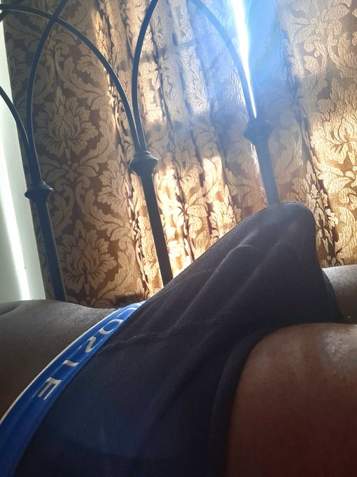 🇬🇧 🐴Horsea 🐴 🇬🇧 - Just resting 😉 https://t.co/241vVD85U4