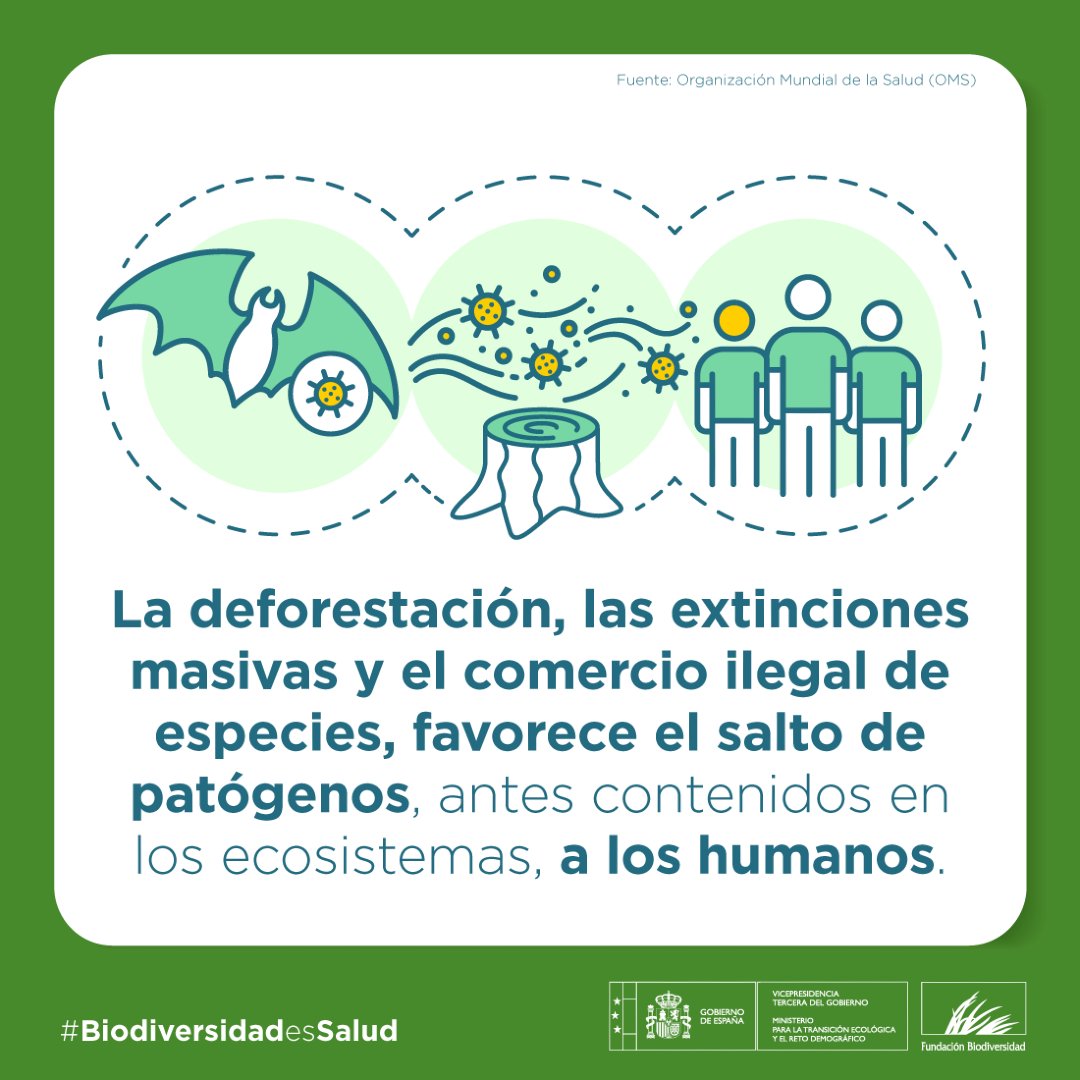 FBiodiversidad's tweet photo. 🌿 La pérdida y degradación de hábitats naturales por las actividades humanas incrementa el riesgo de aparición y propagación de enfermedades.

🦠 3️⃣ de cada 4️⃣ enfermedades nuevas registradas en las últimas décadas tienen origen animal.

#BiodiversidadEsSalud https://t.co/g8WJ2iaYUX
