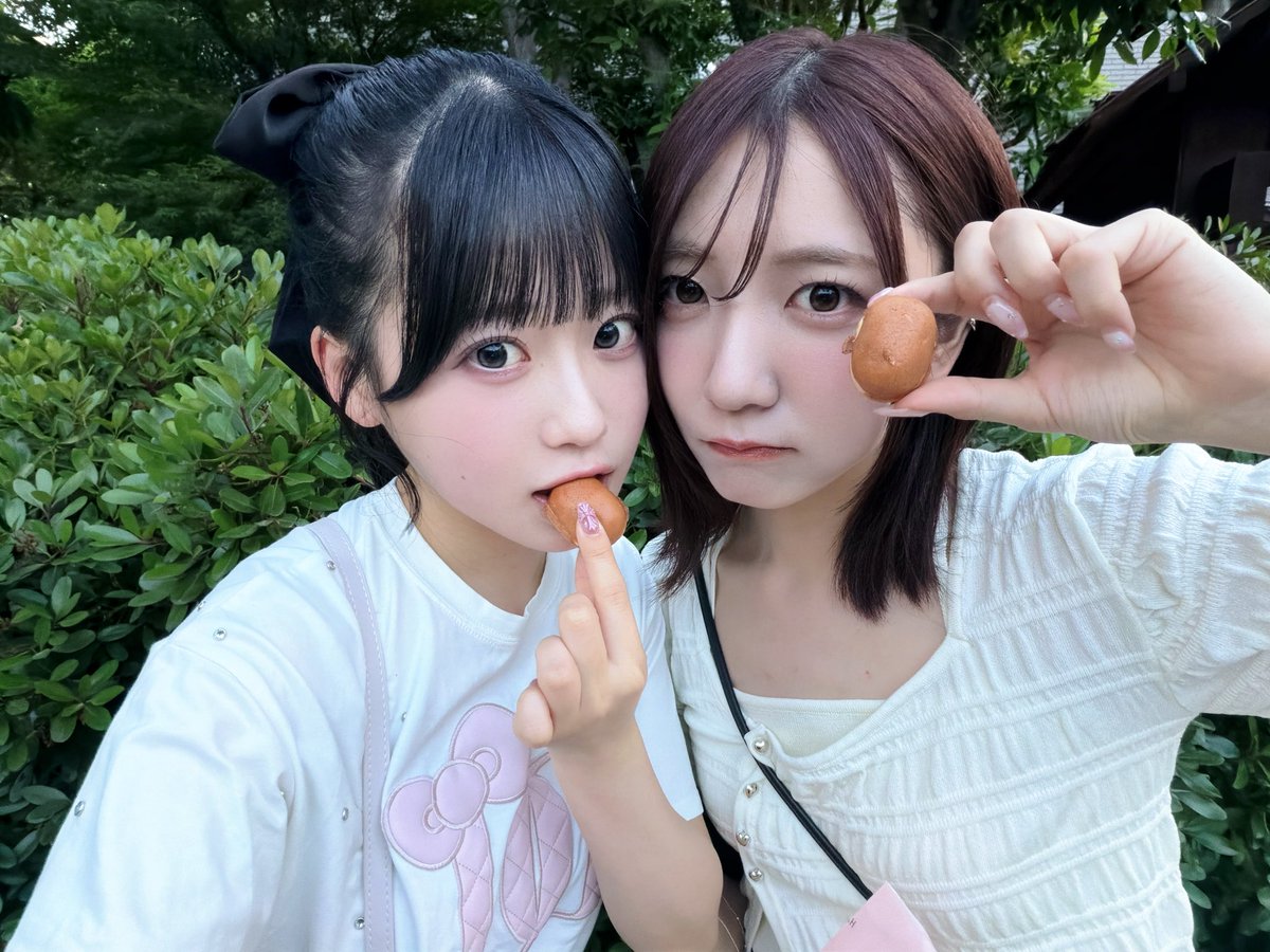 布袋 百椛 tweet media