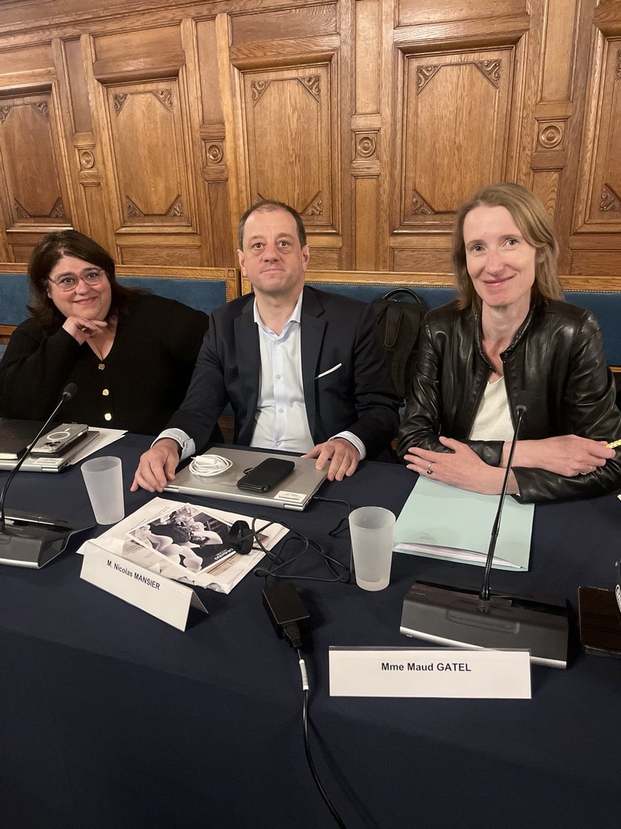 NveauSouffle14e's tweet photo. Elus au conseil municipal de Paris 14e, pour porter la voix des Quatorziennes et des Quatorziens. 
Un groupe constructif et exigeant au service de l'intérêt général : @maudgatel @AudreyLive14 @nmansier https://t.co/QOixKhPl2N