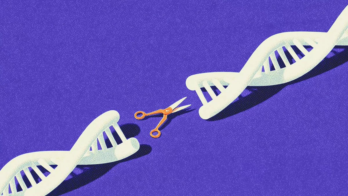 NightSkyToday's tweet photo. JUST IN🚨: Scientists at Columbia University have just unlocked the most precise Human Embryo editing method ever.

Now we can rewrite single letters of DNA. Officially kicking off the era of programmable humans. https://t.co/iv35y7PQvW