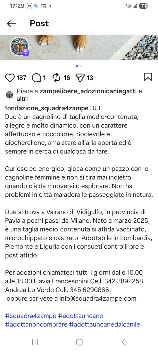 annina_cutillo's tweet photo. https://t.co/d1TEj6X5P7