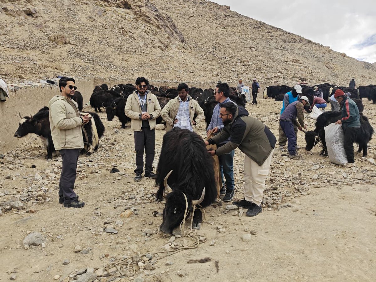 MYBharatHQ's tweet photo. In Chumathang, Ladakh, participants of #VVVP26 witnessed the traditional art of yak hair processing &amp; learned how generations of indigenous knowledge continue to support sustainable livelihoods.
A powerful example of tradition driving the vision of Atmanirbhar Bharat.

#MYBharat https://t.co/0VwdNTpFD5