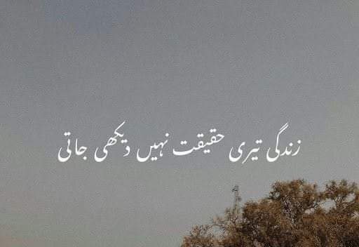Royal_Blood110's tweet photo. خود کو ایک جستجو میں مبتلا رکھنا اور اس کے لیے کوئی تگ و دو نہ کرنا اور بیٹھے رہنا_! ہم اپنے ہاتھوں خود کو اس سے بڑی سزا نہیں دے سکتے__!!

#جےاےسید https://t.co/ocKo34WNqO