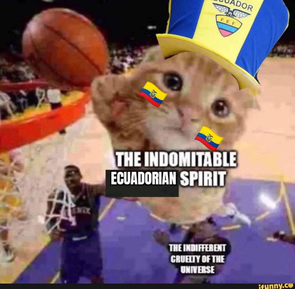 Netrilla2000's tweet photo. @alejandropc243 @LaTri Lo normal, hoy se juega con una sola camiseta 🇪🇨 https://t.co/aISj4QOFM6