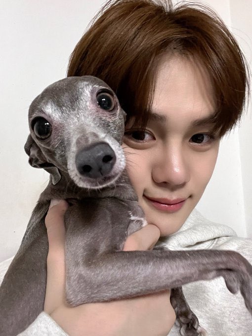 koreanpopbase's tweet photo. GYUVIN shares that his dog, Eumpappa, has sadly passed away. https://t.co/b2hZonHHhl