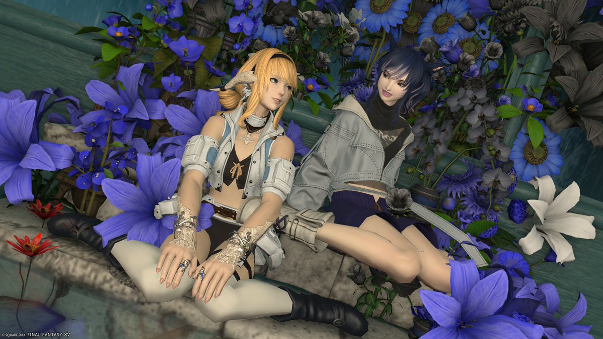 wilbell_witch's tweet photo. ♡(´｡•ω(•ω•｡`)♡ https://t.co/iSfRlGYqsr