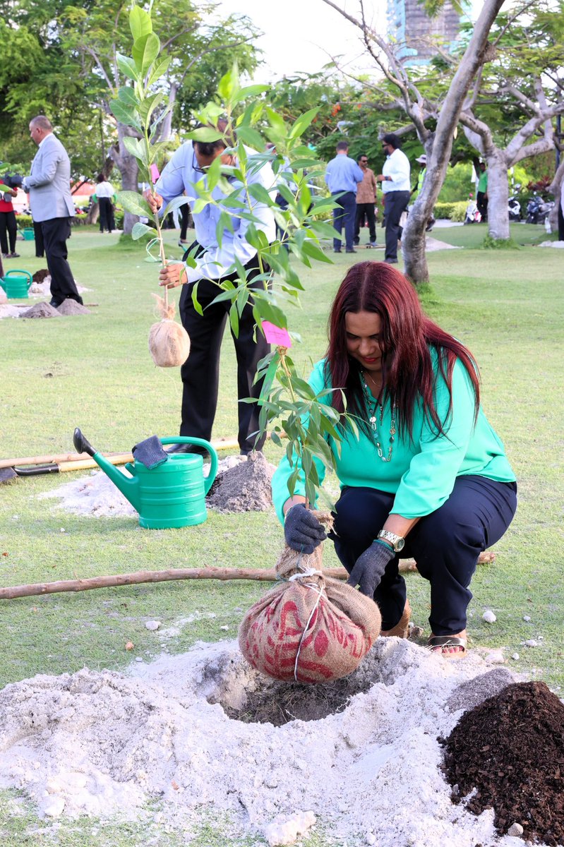 IruthishamAdam's tweet photo. 🌎🌴 🇲🇻 With these 60 trees, we also commemorated the 60th anniversary of Maldives independence, and 60 years of Maldives at the United Nations. 

A fitting way celebration of our shared commitment to environmental stewardship and sustainability.

Reassured that we will continue to work together towards a greener and more resilient future.
@MoFAmv 
@MoEnvmv 
@presidencymv 
@UNMaldives 
@MVPMNY 
@MDVinGeneva