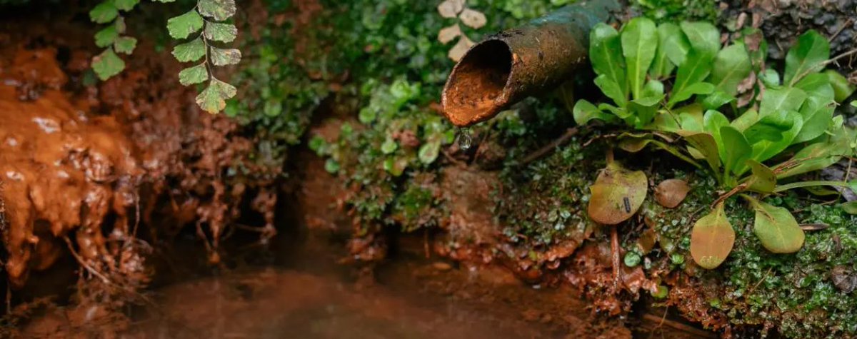 Prismatic_nat's tweet photo. @UdGRecerca @transicioeco @agriculturacat @observatori_nat 3⃣ Eines de #gestió i mesures de #conservació de les fonts naturals mediterrànies 💦✨ Uns ecosistemes de gran valor ecològic 🐸 que actuen de refugis hídrics en ambients secs 🌿 i com a punts de descàrrega d'aqüífers 💧 
📑 Guia del @CREAF_ecologia ➡️ https://t.co/NjtxMPvHKA https://t.co/a9YaA32Bvo