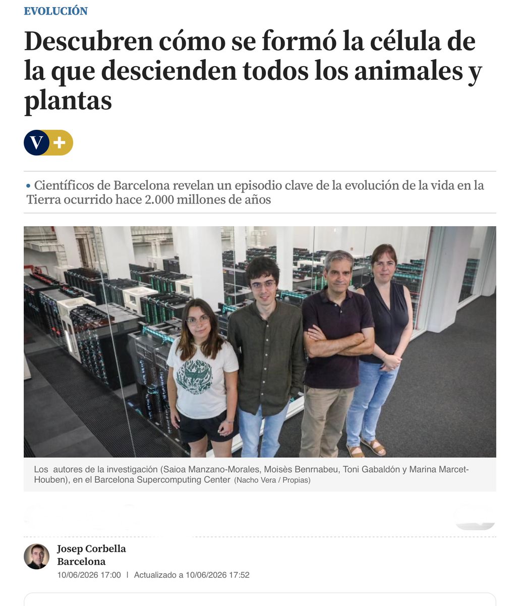 sombradoble's tweet photo. Un estudio liderado por @icreacommunity #RecercaireICREA
@toni_gabaldon y equipo, @IRBBarcelona @BSC_CNS, han descrito el rol de bacterias y virus gigantes en el origen de las células complejas.
La investigación se ha basado en analizar los genomas de todos los tipos de organismos eucariotas conocidos en el árbol de la vida. Esto ha permitido deducir qué grupos de genes son comunes a todos ellos y se remontan a su antepasado común, conocido como #LECA (por las iniciales en inglés de Último Ancestro Común Eucariota).
Publicado en @Nature, este trabajo trata de responder a una pregunta fundamental sobre la historia de la vida: qué somos y de dónde venimos.
Esta investigación 𝗰𝘂𝗲𝘀𝘁𝗶𝗼𝗻𝗮 𝗹𝗮 𝗶𝗱𝗲𝗮 𝗱𝗼𝗺𝗶𝗻𝗮𝗻𝘁𝗲 de que la complejidad celular, las células #eucariotas, surgiera a partir de un único encuentro evolutivo y apunta a una historia de alianzas microbianas.
¿Y si el origen de nuestras células no es como pensábamos?
En @LaVanguardia por J. Corbella
https://t.co/e8nbn5zkgg
