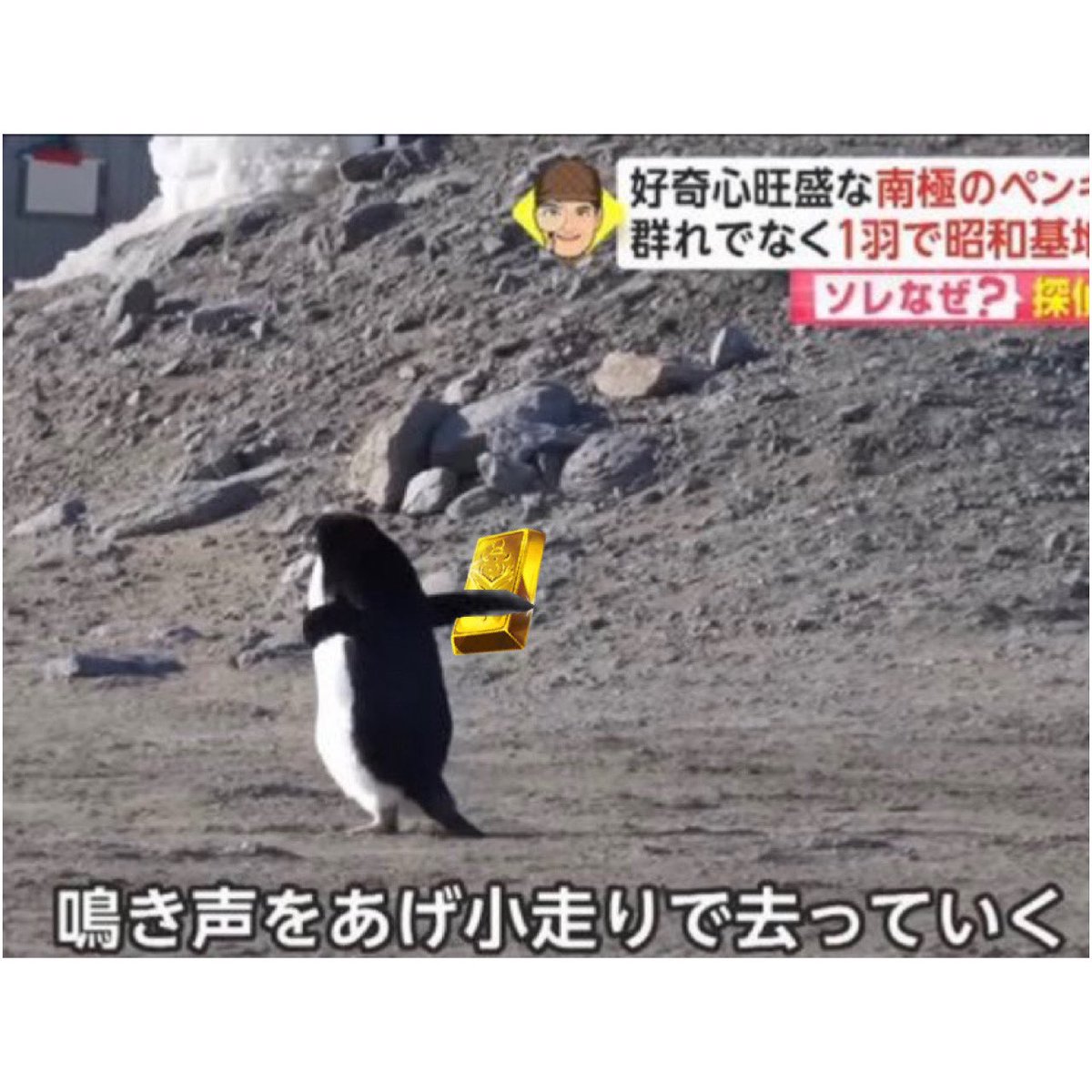 ADS_2's tweet photo. https://t.co/tCvyk2jIDj