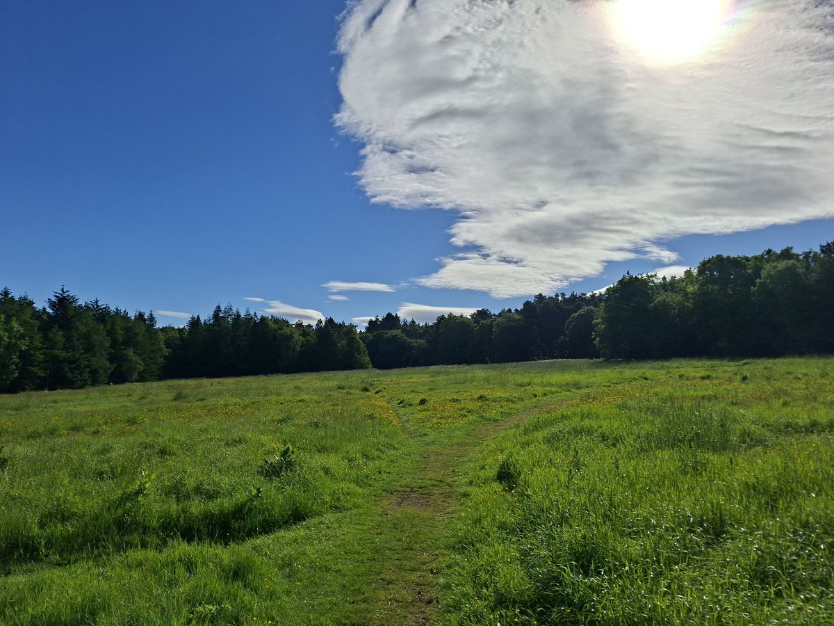 SStrath58072's tweet photo. The rain stopped &amp; sun shone today for LRC Dechmont Trail Races. My day started very early for course set up &amp; continued with a bit of marshaling &amp; helping at the finish. Abbie ran the 10k in 52:23 &amp; was part of LRC Senior Ladies team that came 3rd in SA Trail Champs @RunComPod https://t.co/HxYIQL4TUh